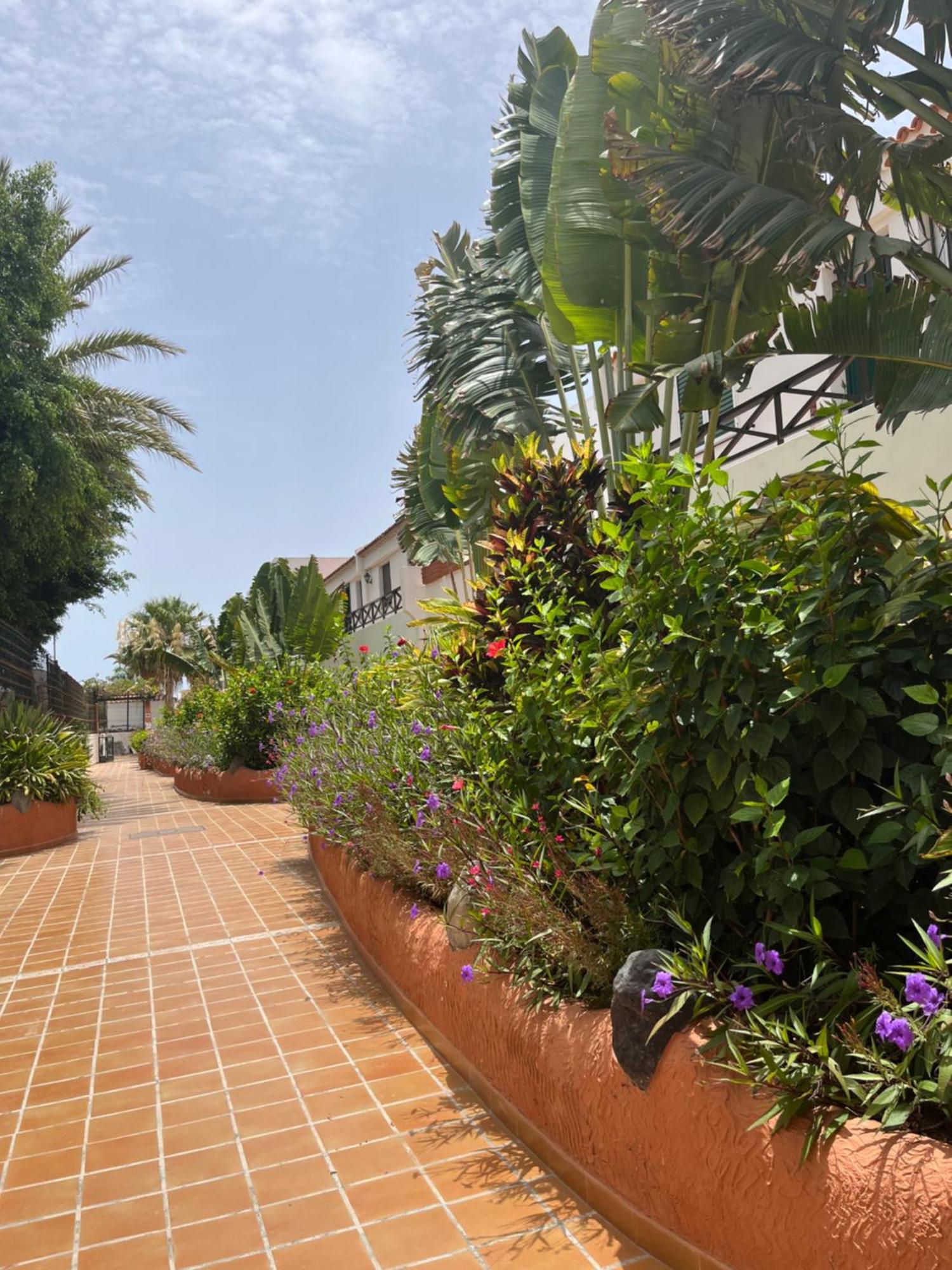 德尔锡伦西奥海岸Casa Parque Don Jose 2公寓 外观 照片