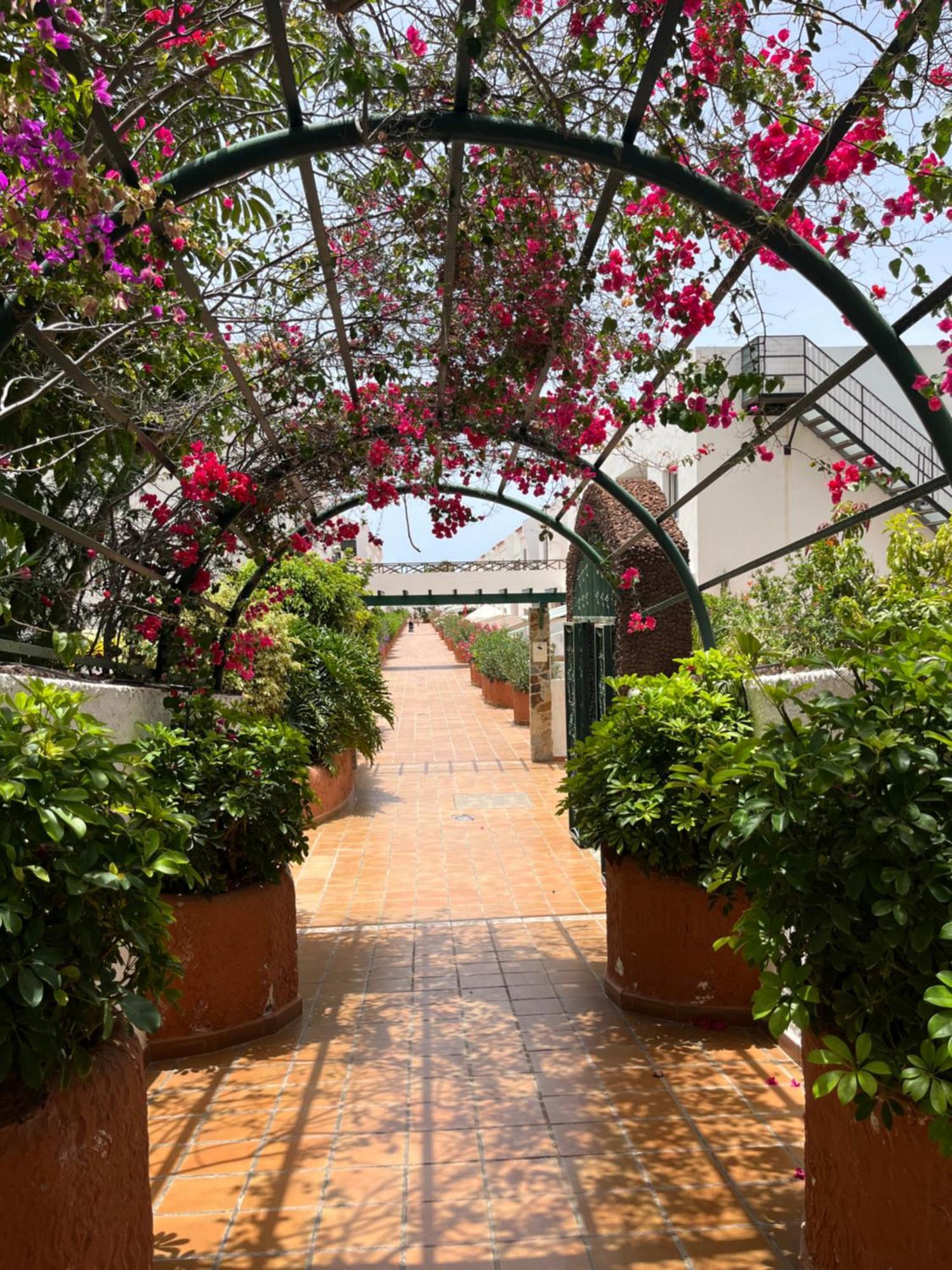 德尔锡伦西奥海岸Casa Parque Don Jose 2公寓 外观 照片